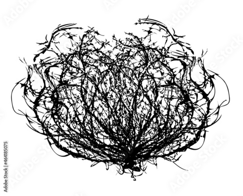 Photography Tumbleweed Line Drawing