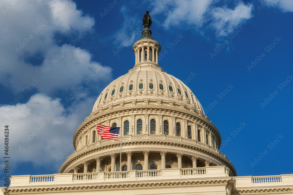Obraz premium US Capitol Building with American flags, the Capitol is the home of the United States Congress in Washington D.C, USA.
