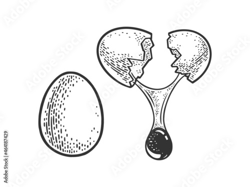 egg whole and broken sketch engraving vector illustration. T-shirt apparel print design. Scratch board imitation. Black and white hand drawn image.
