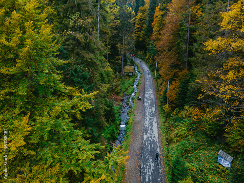 aerial view of walking hiking trail in autumn forest