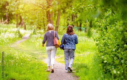 Two women walking in a summer park