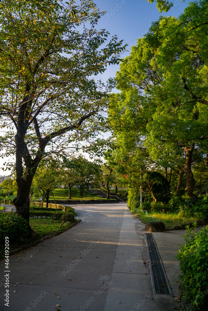 朝の隅田公園　秋　散歩コース