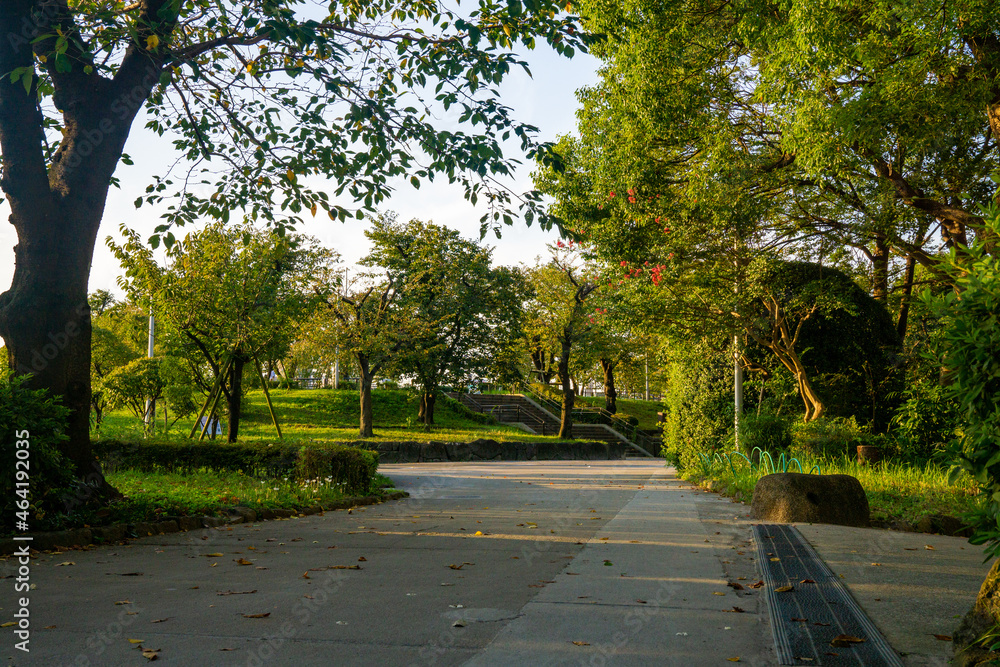 朝の隅田公園　秋　散歩コース