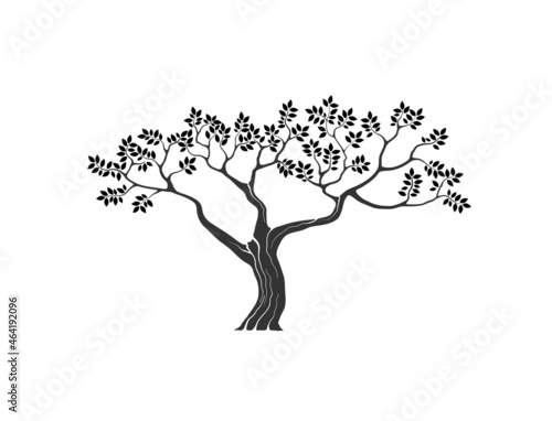 olive and acacia tree silhouette