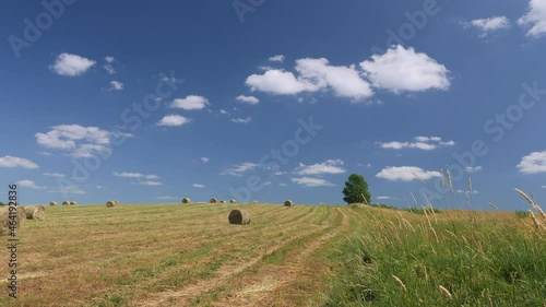 Wallpaper Mural Video shot of rural landscape with lonely tree, blue sky, green grass and hay bales 
 Torontodigital.ca