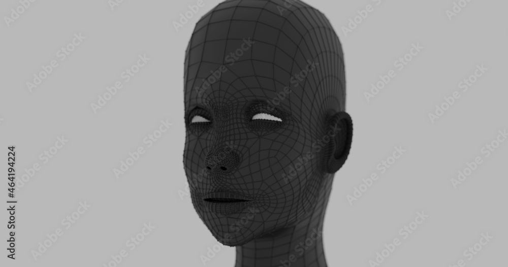 3d wireframe head 3d wireframe head
