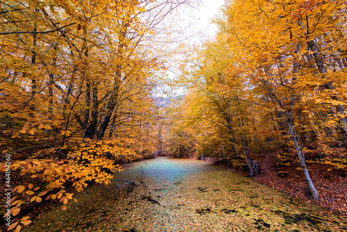 Autumn Foliage in Yedigoller park. Bolu, Turkey. © Sondem