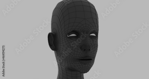 3d wireframe head