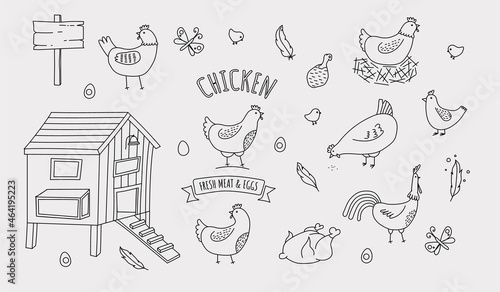 chicken farm organic eggs and meat icon set
