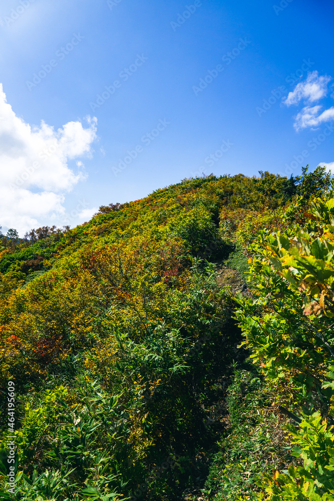 秋色の斜面　青空　紅葉　黃葉