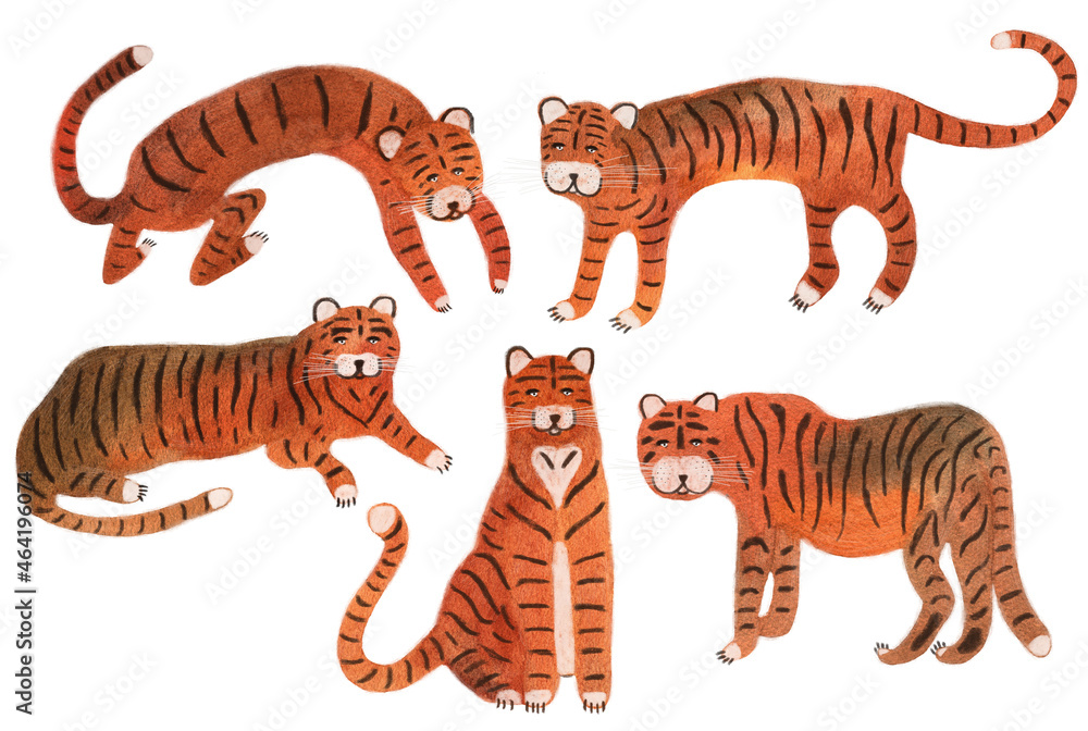Obraz premium Set with watercolor tigers to decorate the design. Set of cartoon characters of wild nature. The tiger pattern is wild