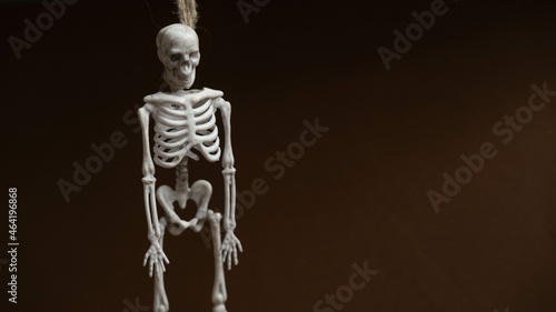artificial human skeleton , skeleton figurine on a rope , halloween concept