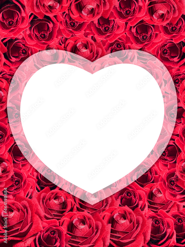 White heart on red roses flower stacked background, nature, template, banner, copy space White heart on red roses flower stacked background, nature, template, banner, copy space
