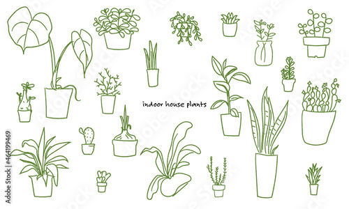 手描き観葉植物　線画