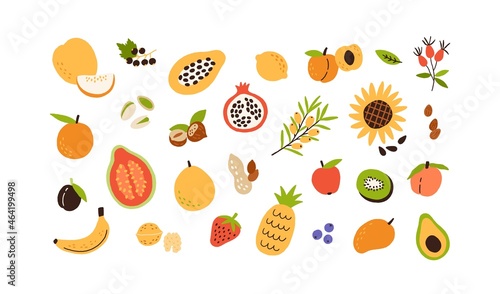 Fruits, nuts and berries set. Healthy vitamin food, groceries. Fresh avocado, banana, pineapple, walnut, lemon, orange, kiwi and sunflower. Flat vector illustration isolated on white background