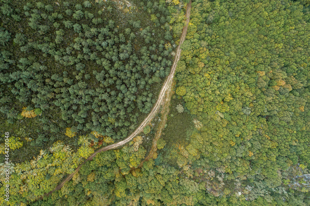 Overhead drone aerial view of a mountain area with a path through oak and pine forests. Ecology concept. Overhead drone aerial view of a mountain area with a path through oak and pine forests. Ecology concept.