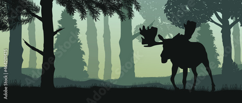 Colorful illustration. Vector. Elk in the forest.