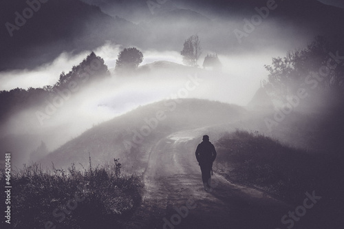 man walking in a foggy autumn landscape