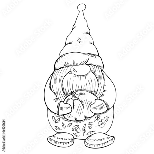 A hand-drawn gnome with a pumpkin in his hands. The Scandinavian gnome. Vintage vector illustration. Halloween and thanksgiving illustration.