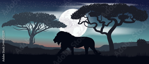 Colorful vector. A lion. Safari. Moon.