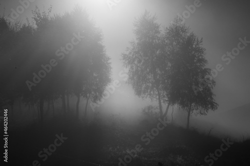 beautiful foggy autumn morning landscape in rural Transylvania © Melinda Nagy