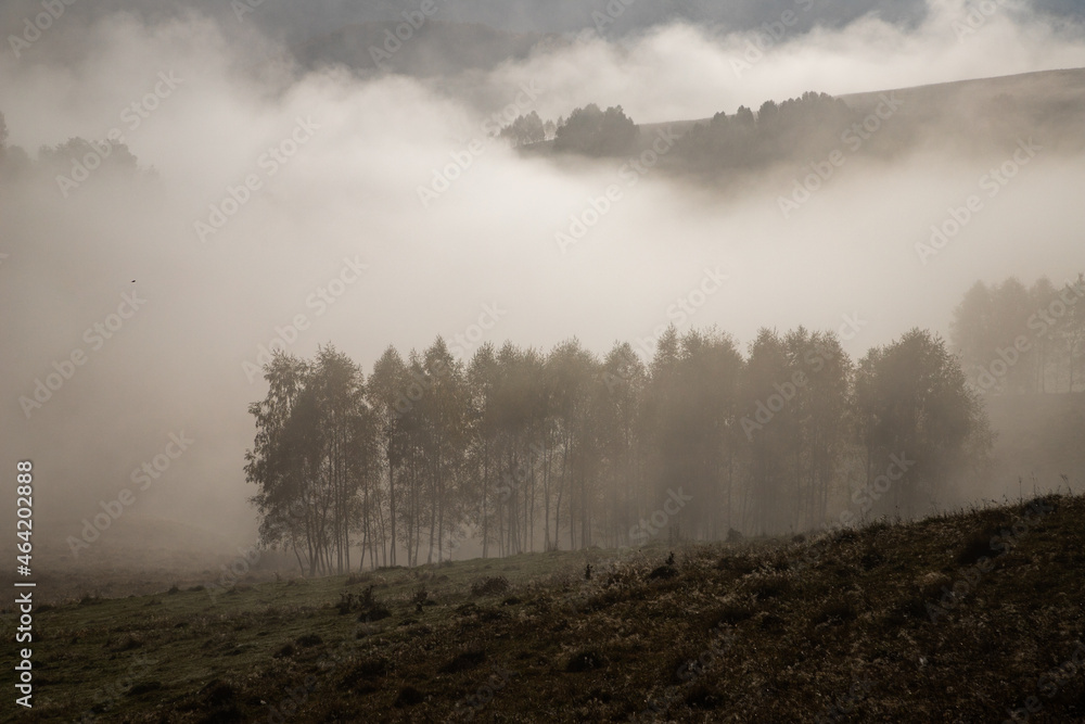 beautiful foggy autumn morning landscape in rural Transylvania