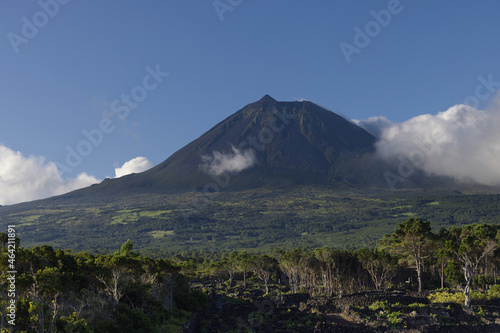 Typical landscape of the island of Pico with the mountain Pico in the background, Azores