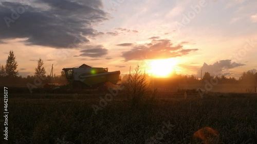 Combine harvester on field of wheat, harvesting wheat, agriculture, harvest time 
