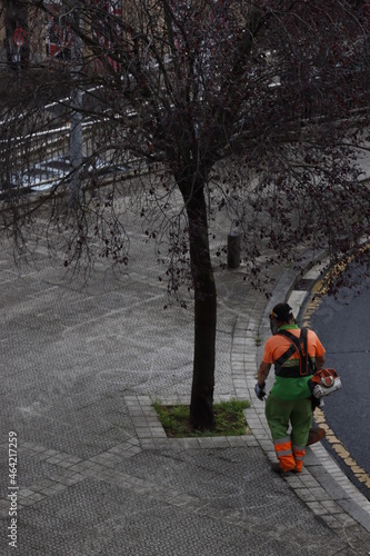 Cutting plants in the street