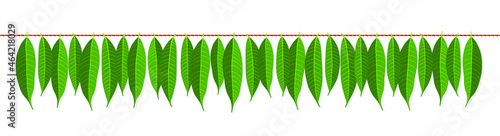 Indian Traditional Mango Leaves Garland. Decoration for Indian Hindu Auspicious Occasion