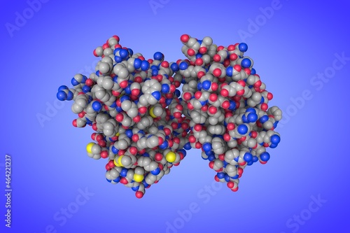 Space-filling molecular model of human cathepsin F, a protein that in humans encoded by the CTSF gene. Scientific background. 3d illustration