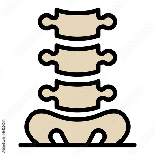Tailbone and spine icon. Outline tailbone and spine vector icon color flat isolated