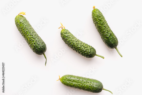 Green cucumbers on a white background. Pimpled cucumbers. 