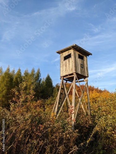 Obraz na płótnie Wooden hunter's tower in the forest w salonie