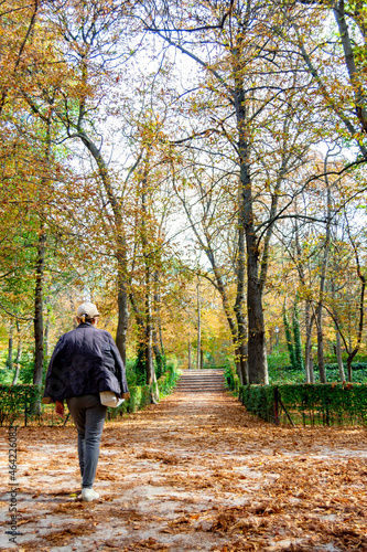 MADRID, SPAIN - OCTOBER 21, 2021. People walking along a path full of dry yellow and brown leaves caused by autumn in the Retiro Park in Madrid, Spain. Semi-bare tree branches Europe.  © Fernando Astasio