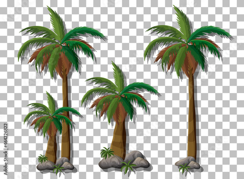 Palm trees on transparent background