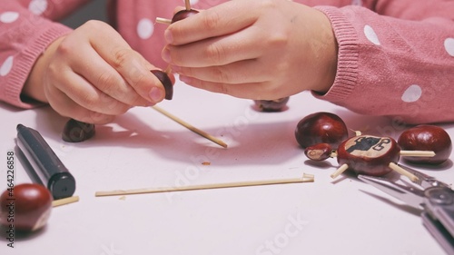 Creative Young Caucasian Girl Making Funny Figure For School Project with Chestnuts and Wooden Toothpicks and Multitool Pliers 
