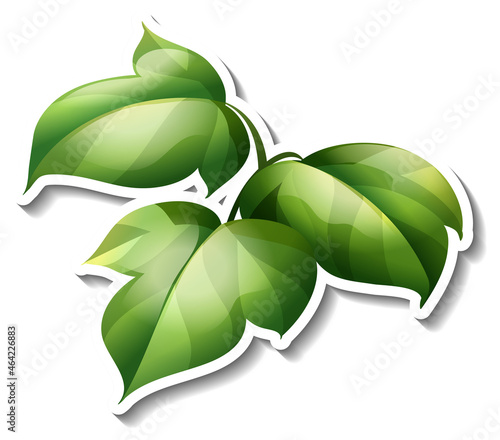 Tropical leaves brush sticker on white background