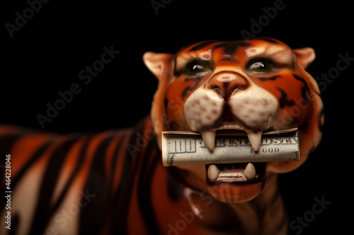 image of tiger dark background