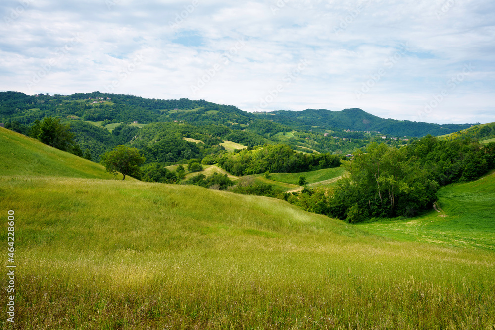 Rural landscape near Riolo and Canossa, Emilia-Romagna.