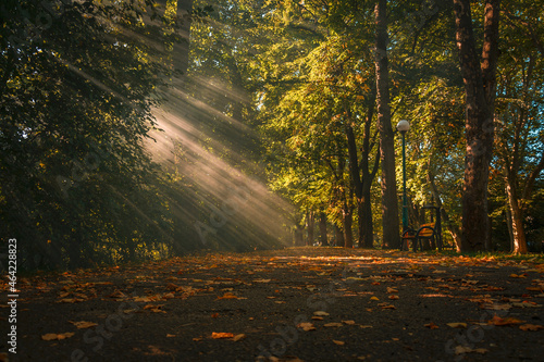 Prześwit porannych promieni słońca w Parku Włókniarzy w Bielsku-Białej jesienią