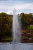 fountain. autumn nature. park attraction with trees and lake. river water and fountain