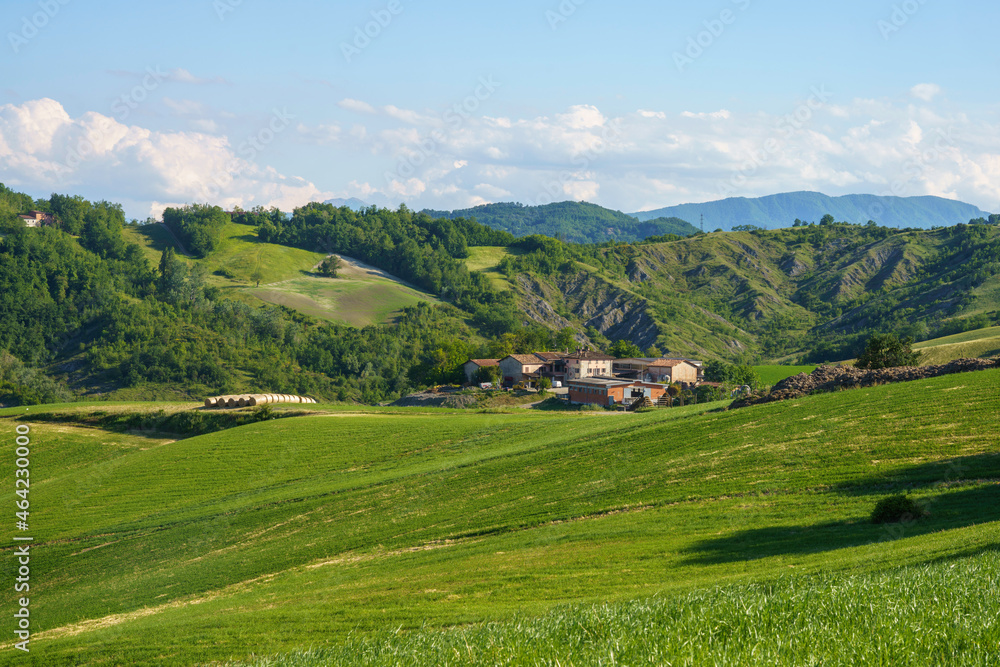 Rural landscape at Rivalta di Lesignano Bagni, Emilia-Romagna