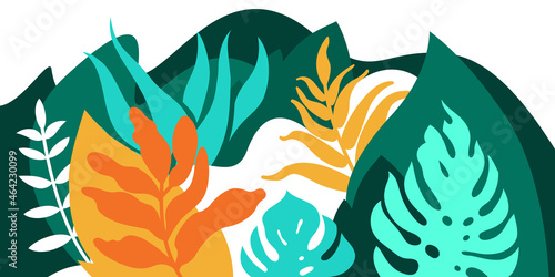 Mountain hilly landscape with tropical plants and trees, palms, succulents. Scandinavian style. Environmental protection, ecology. Park, exterior space, outdoor. Vector illustration.