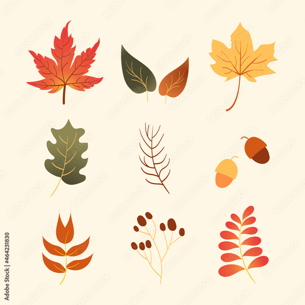 Flat Autumn Leaves Collection Set Flat Autumn Leaves Collection Set