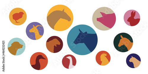 Farm Animal Icon Profile Set. Horse, dog, goat, donkey, pig, cat, cow, sheep, hen, goose, rabbit, duck, turkey, chicken, broiler, rooster. Vector illustration.