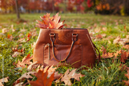Close up of stylish brown leater handbag in autumn park with red leaves on grass. Female accessories. Fashion photo