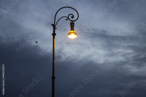 Canvas Print street lamp in the night
