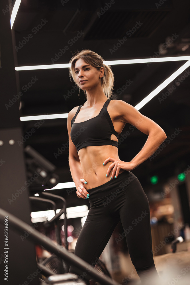 Fototapeta premium fitness, fitness center, gym