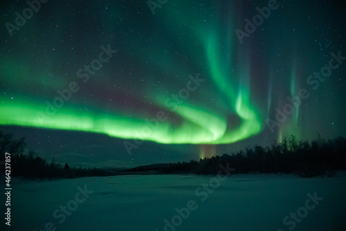 northern lights aurora borealis landscape with forest